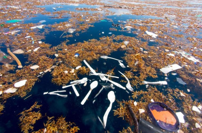 La pollution marine, une menace croissante pour la mer des Caraïbes post thumbnail image