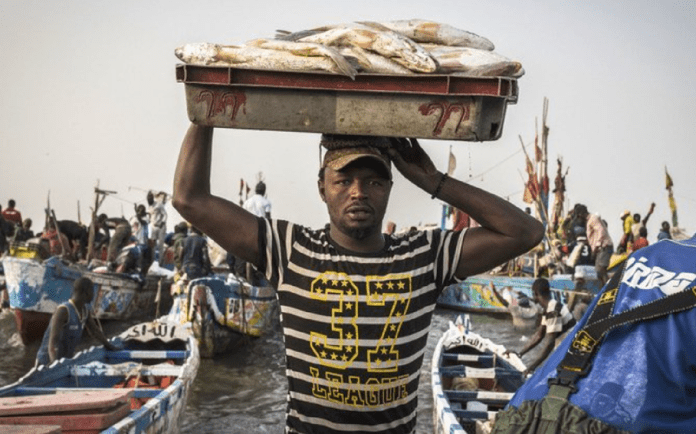 Alerte : La croissance économique mondiale devrait ralentir à 1,9% en 2023 post thumbnail image